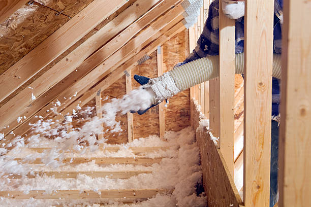 Weatherproofing Services in Lake Of The Woods, IL